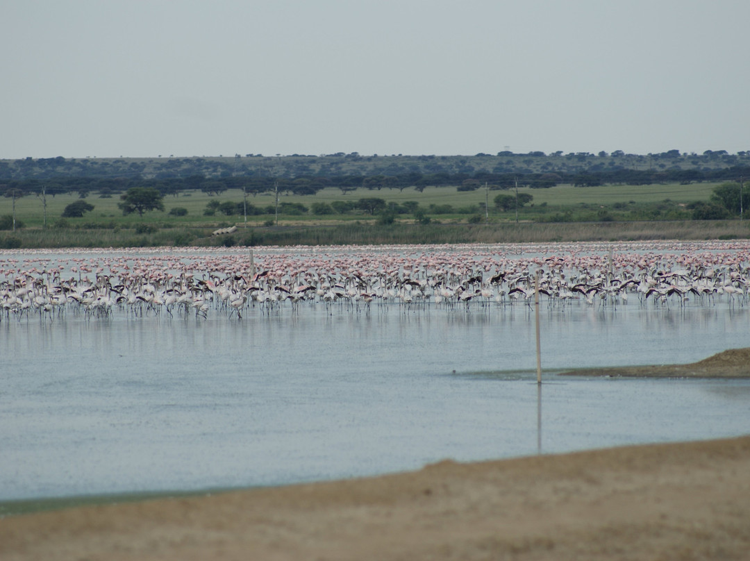 75 on Milner Lodge主图