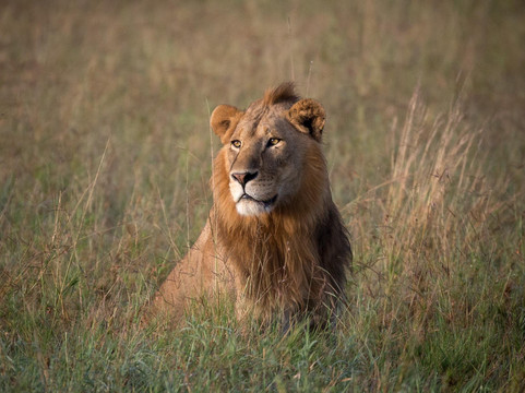 Tunu African Adventures