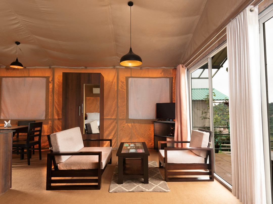 Nest And Hives主图