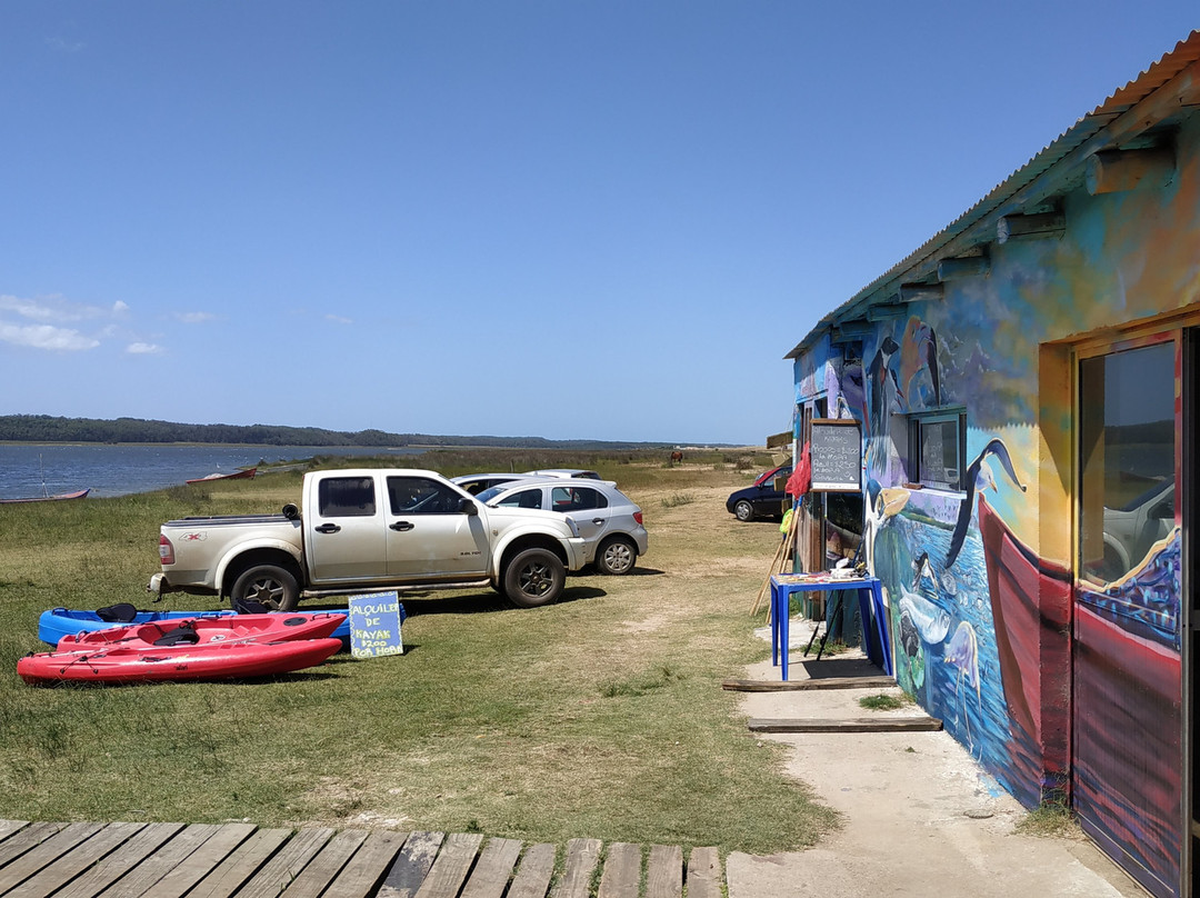 Laguna de Rocha-Rocha必去景点
