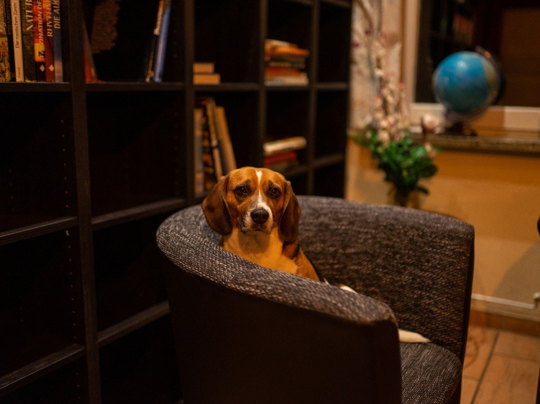 Hotel Berghof am See主图