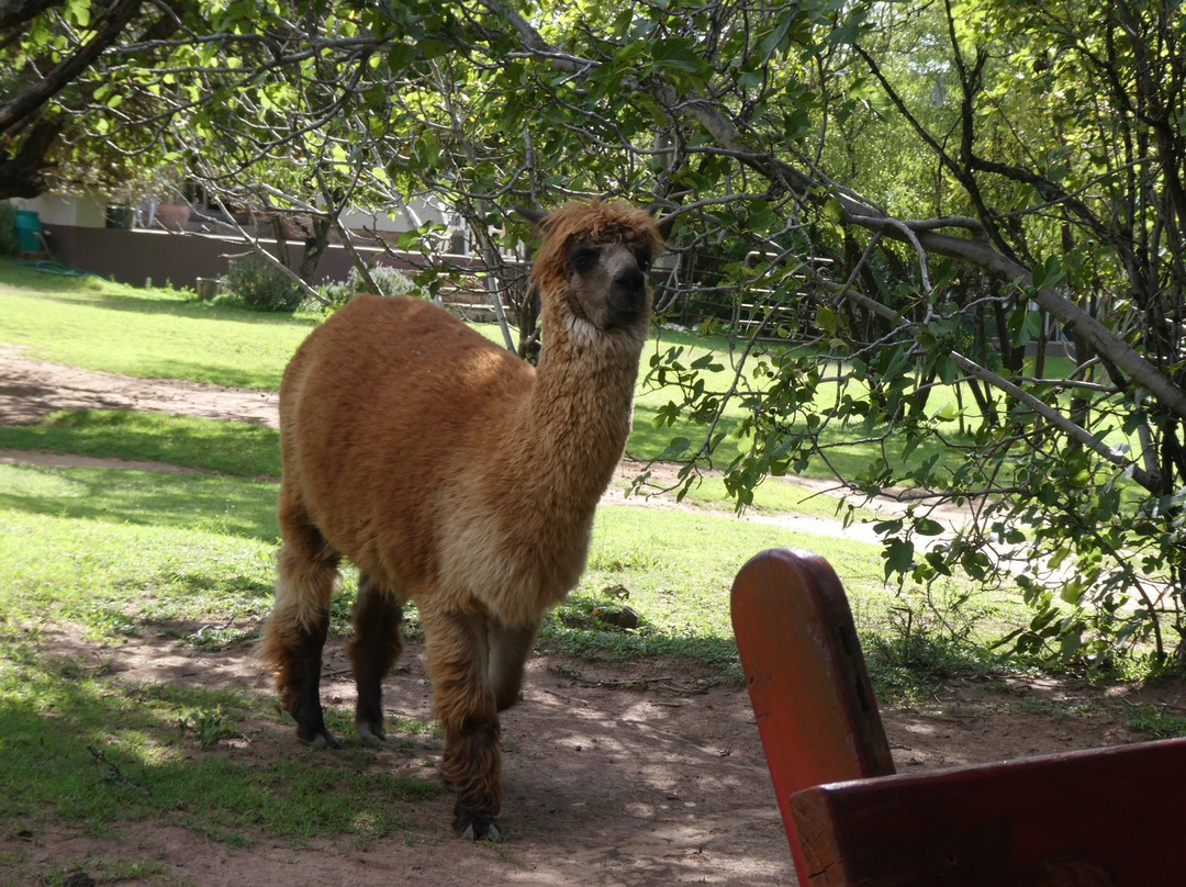 Comfrey Cottage主图