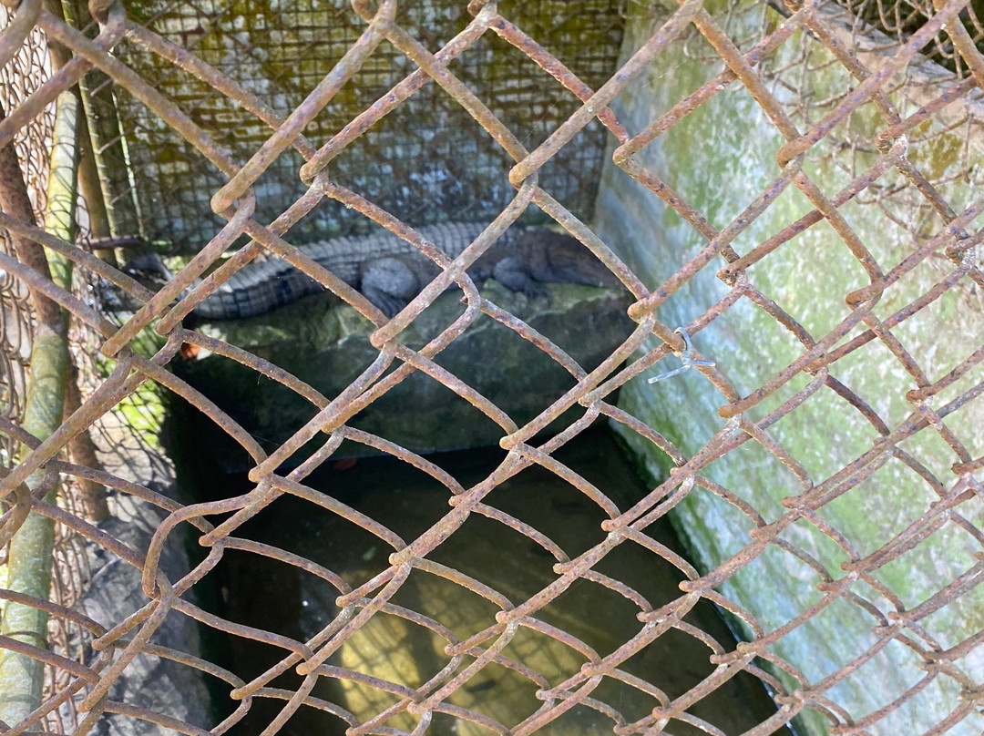 Calauit Wildlife Sanctuary-Busuanga Island必去景点