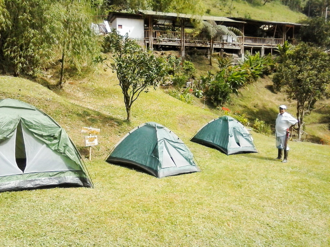 Finca Demostrativa Don Miguel-Villamaria必去景点