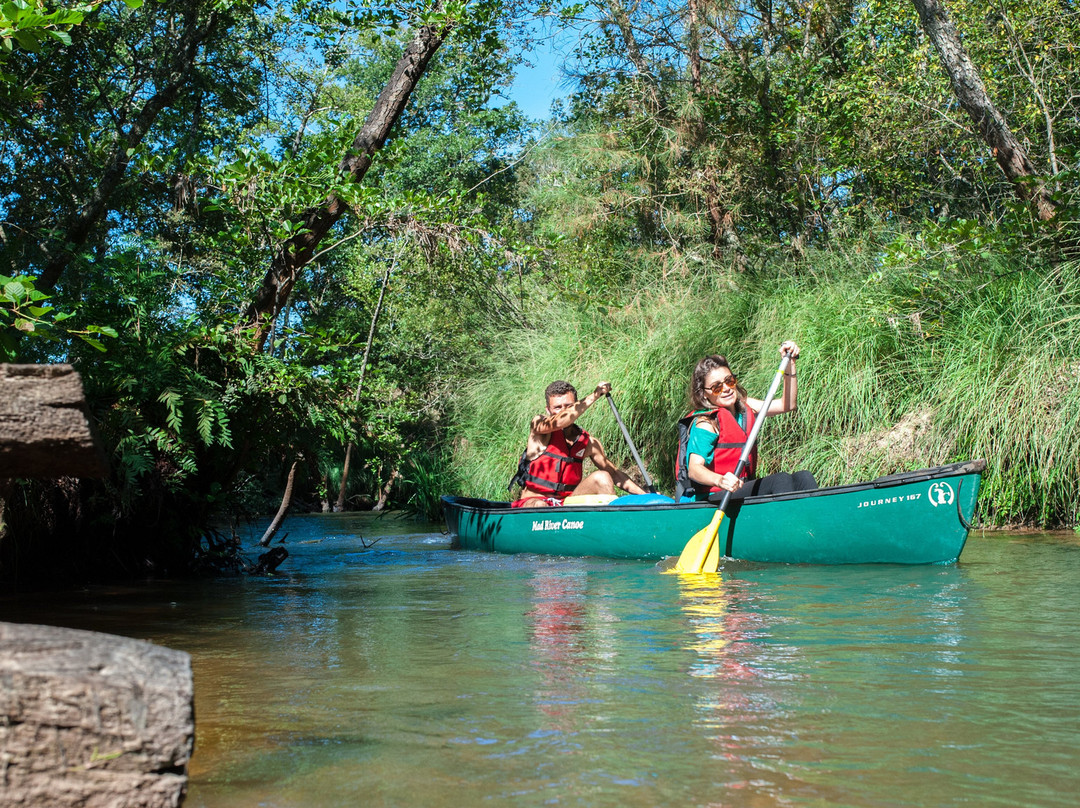 Lou Canoe景点图片