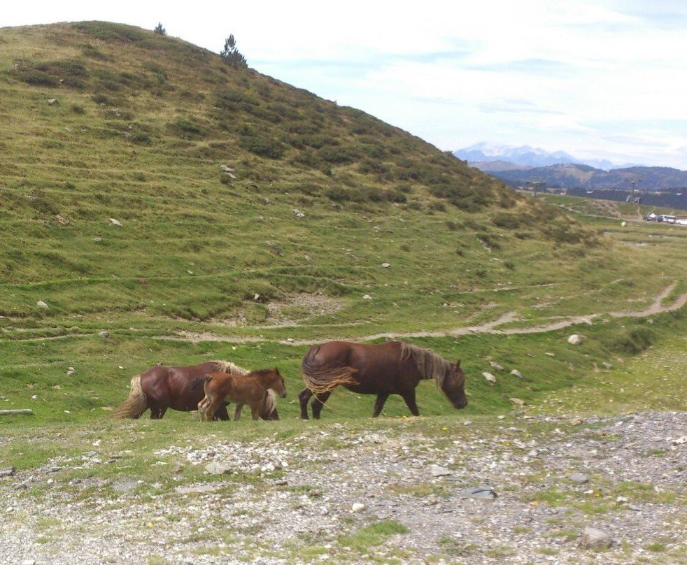 La Bonaigua Hotel主图