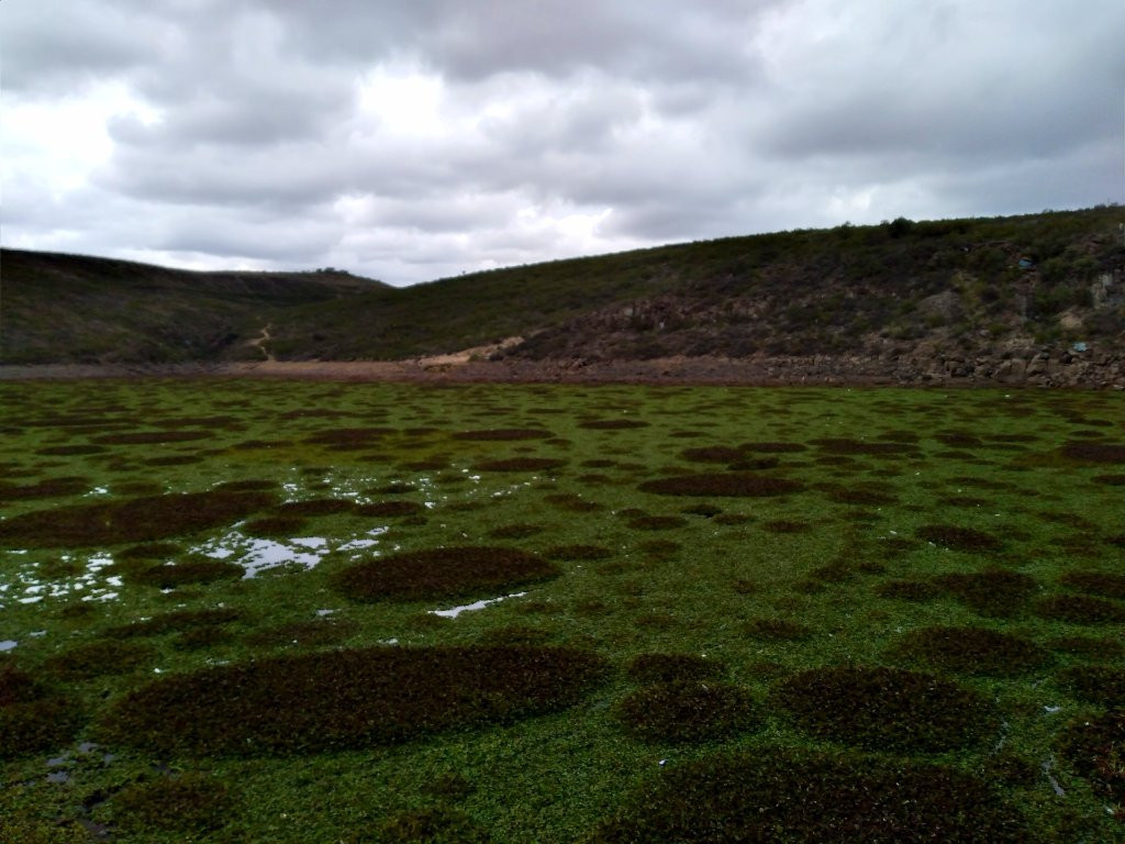 Presa de San Jose景点图片
