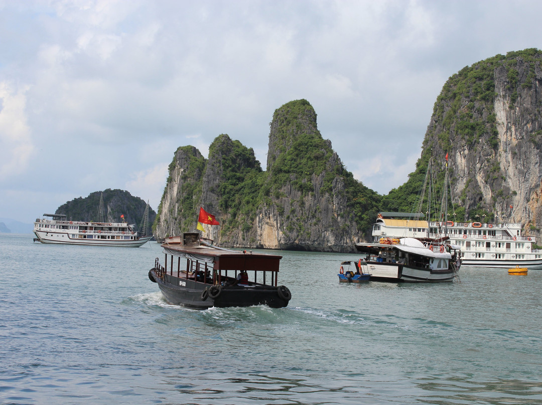 White Dolphin Cruises-河内必去景点