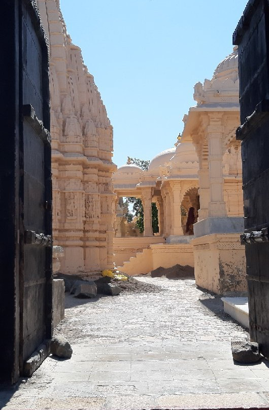 Shatrunjaya hill temple景点图片