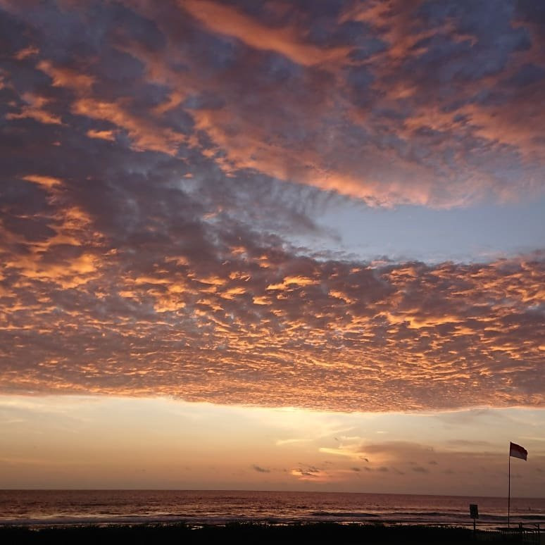 Mahi Mahi Surf Resort主图