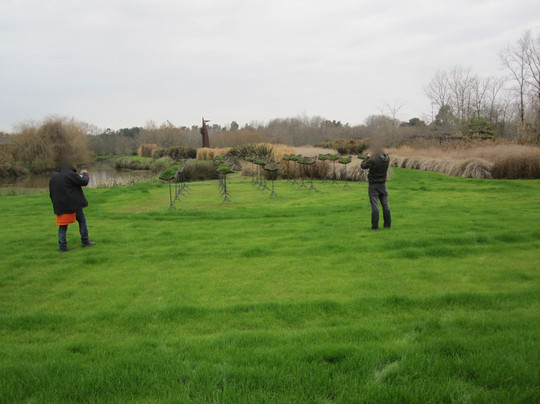 Isla El Descanso-布宜诺斯艾利斯必去景点