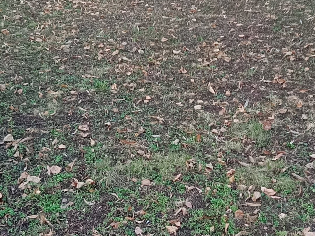 Detské Ihrisko V Parku-Cabaj必去景点