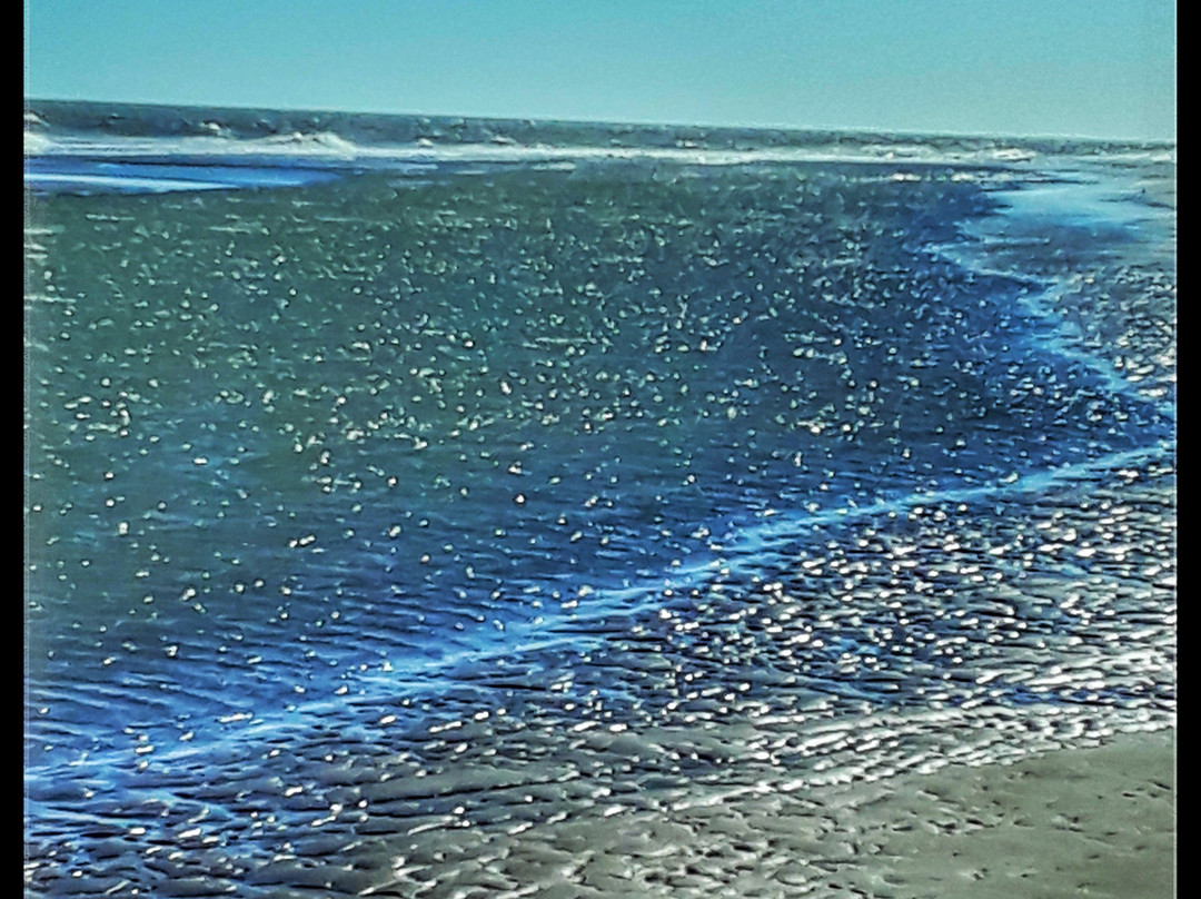 Reta-Tres Arroyos必去景点