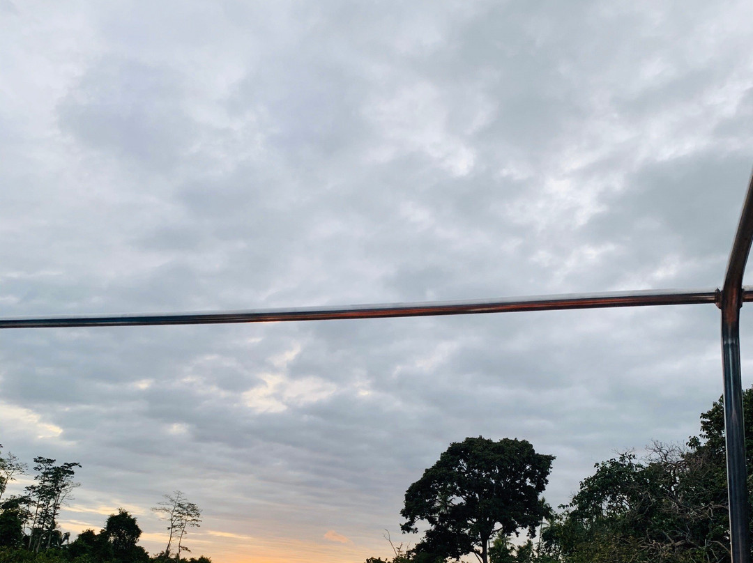 Borneo Authentic Adventure-兵南邦必去景点