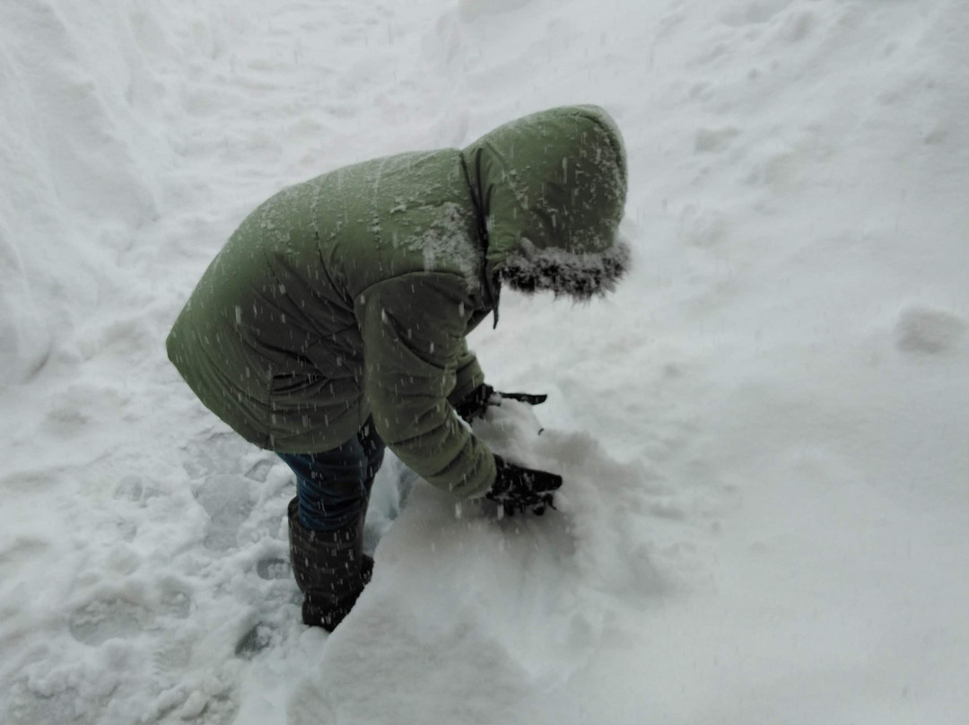 Kolahoi Green Heights Gulmarg主图