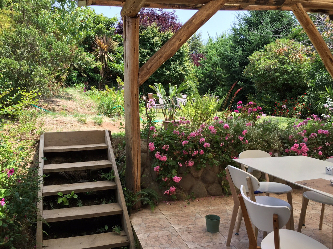 Futrono餐馆和美食-Milu