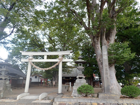 Shiratori Shrine-东御市必去景点