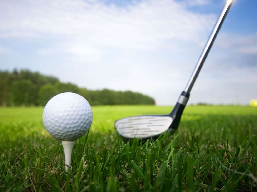 Traveller's Inn主图