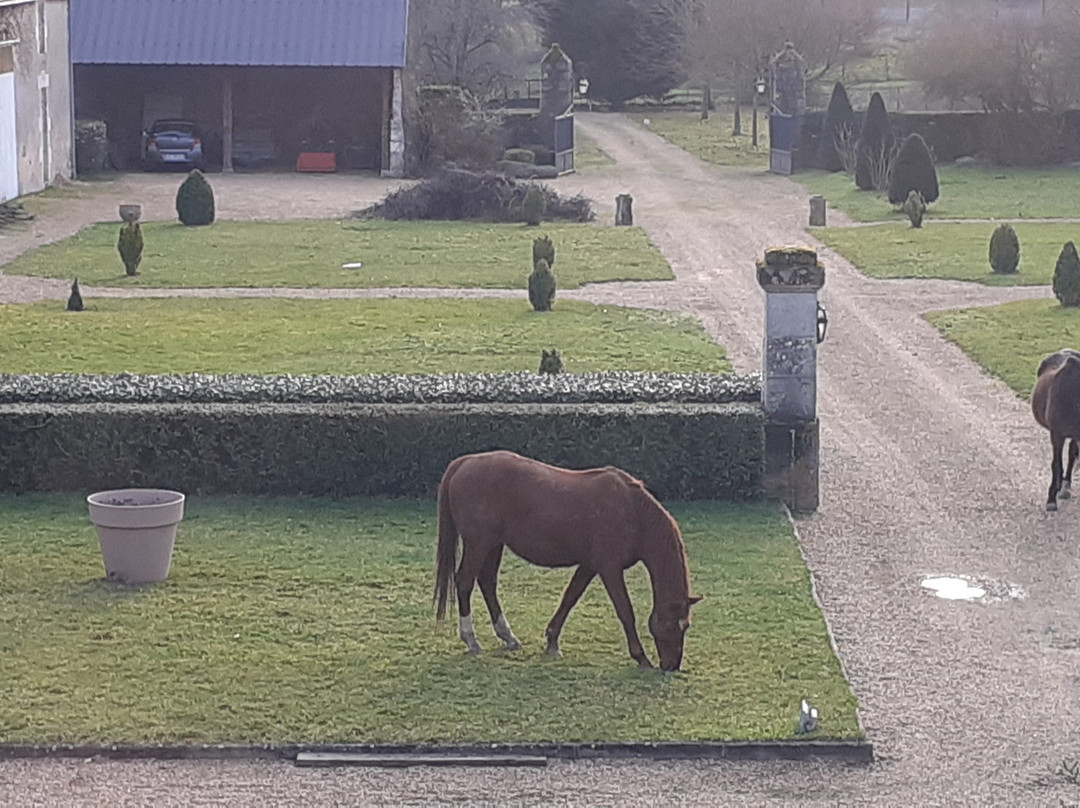 Le Manoir du Clôt主图