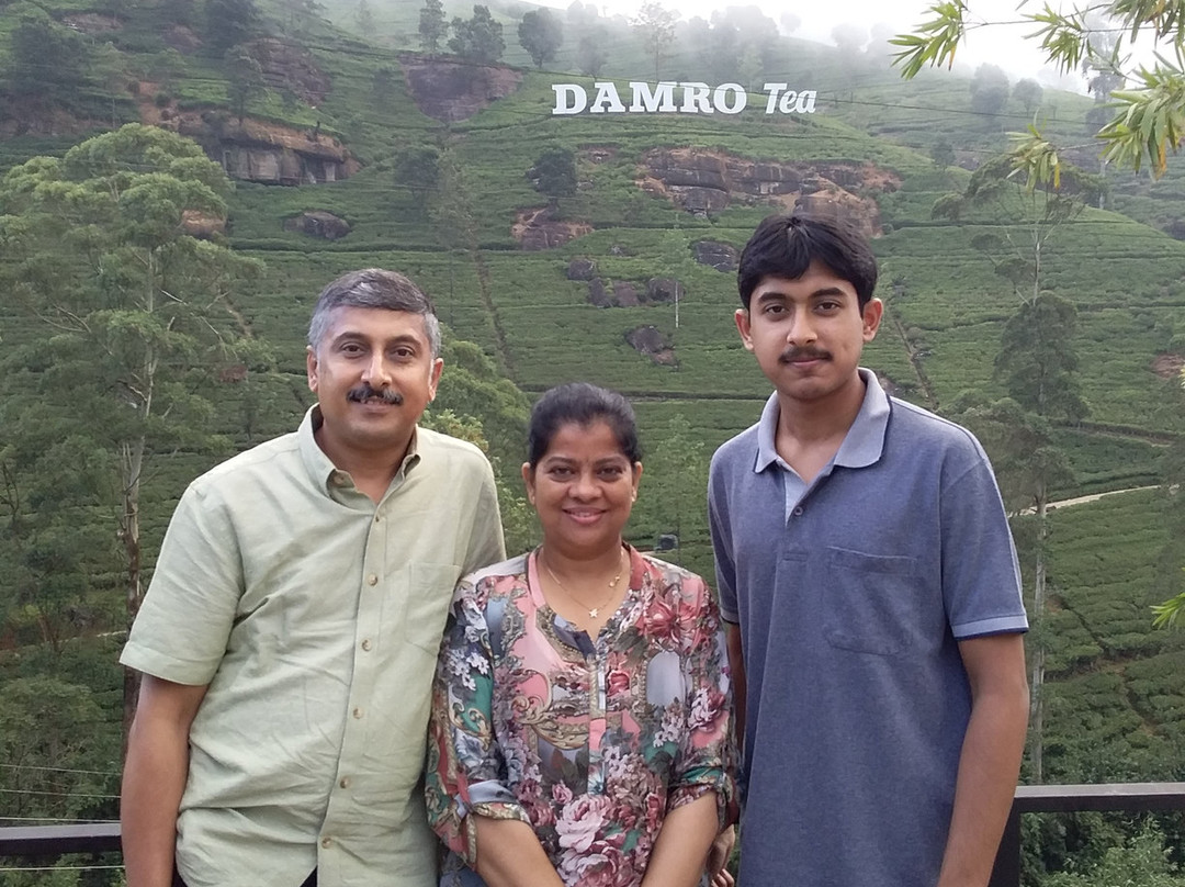 Damro Labookellie Tea Centre and Tea Garden景点图片