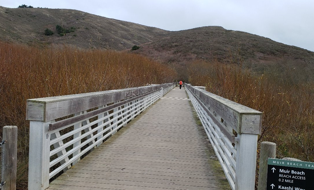 Muir Beach景点图片