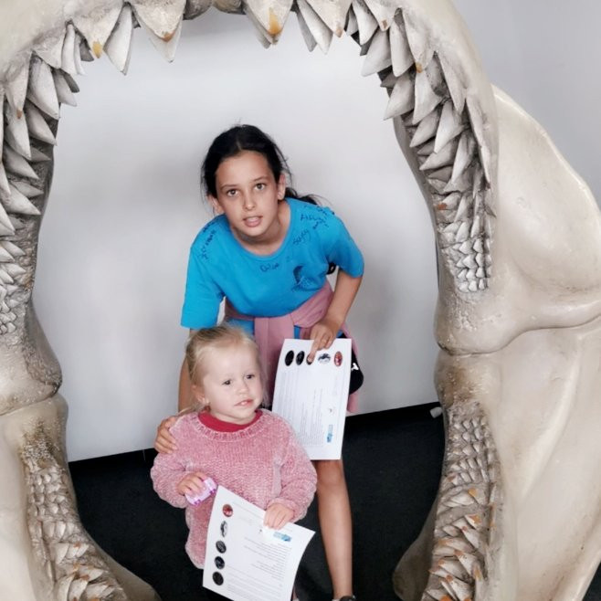 National Aquarium of New Zealand-纳皮尔必去景点