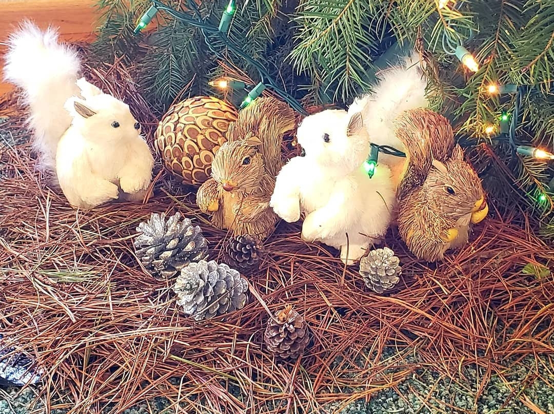 Turtle Rocks Oceanfront Inn主图