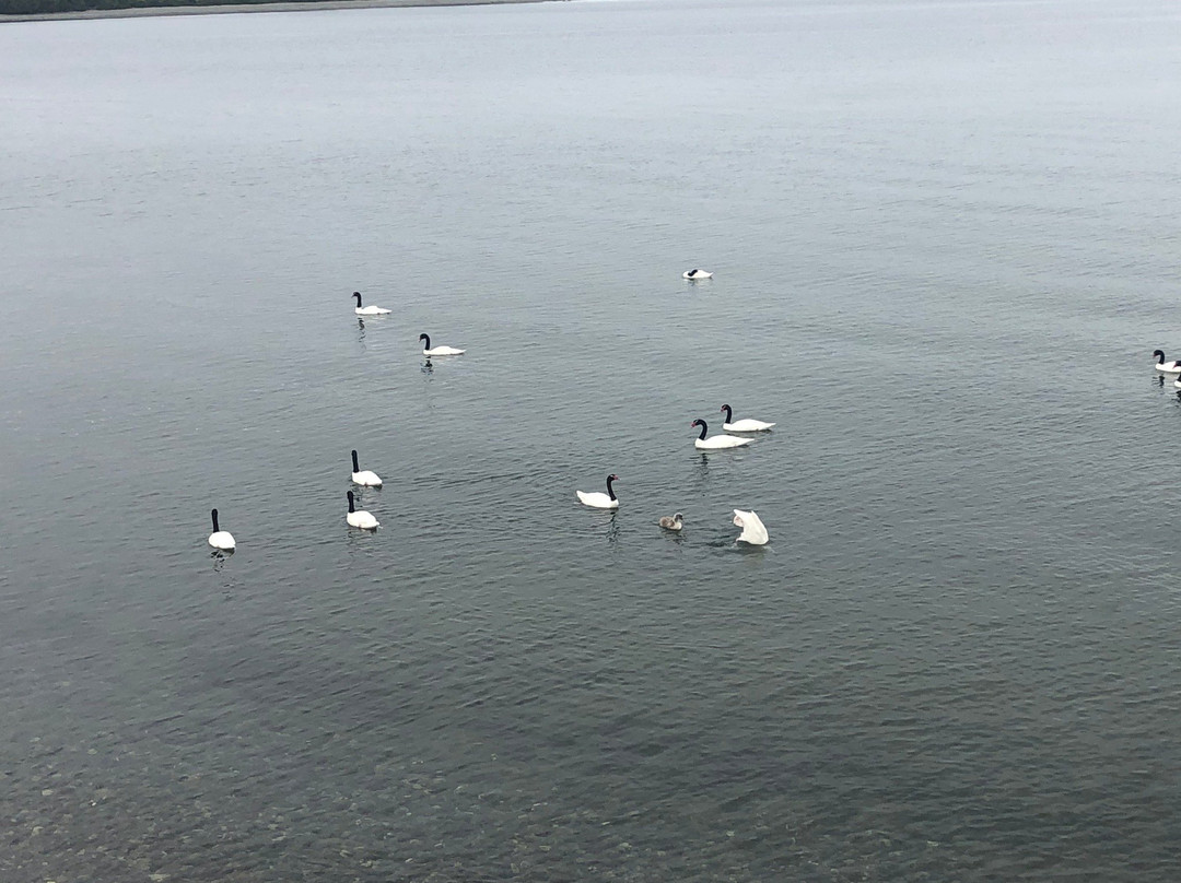 Turismo Condor Andino-蒙特港必去景点