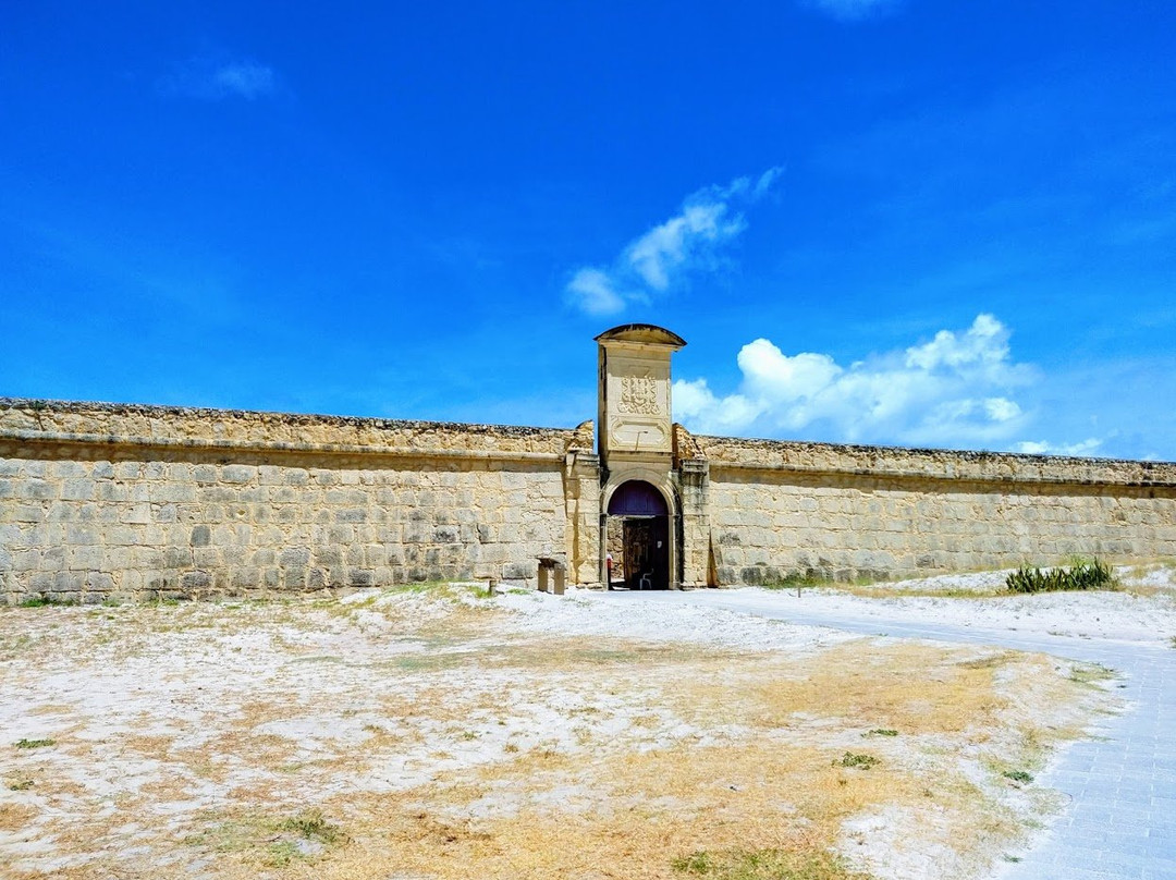 Fort Orange景点图片