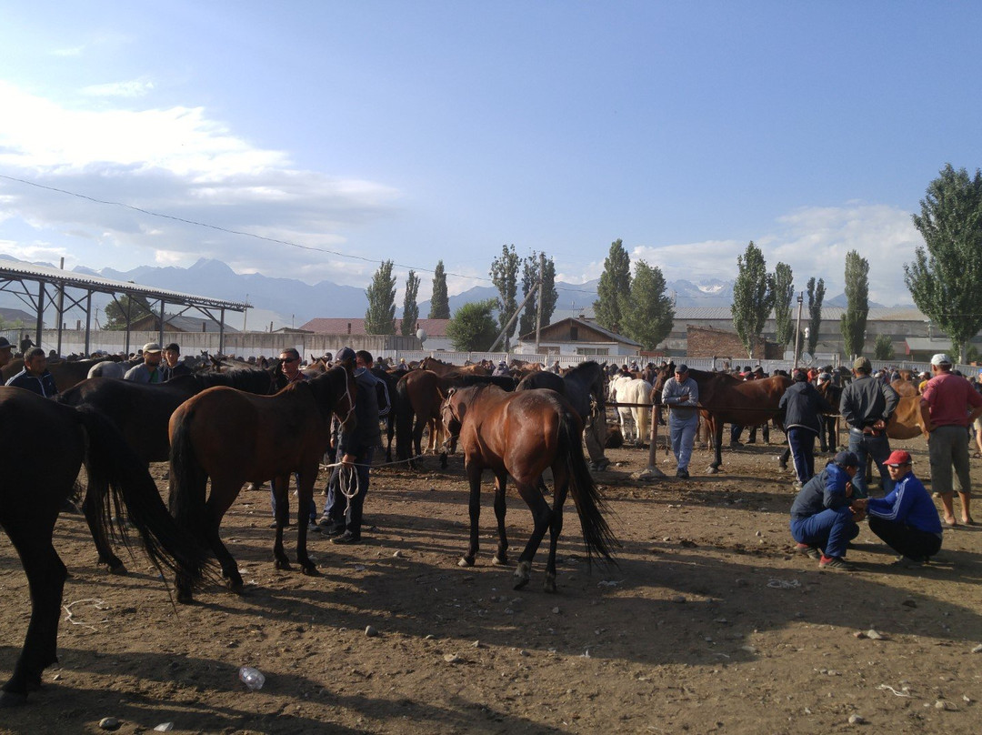 Karakol Cattle Market-Karakol必去景点