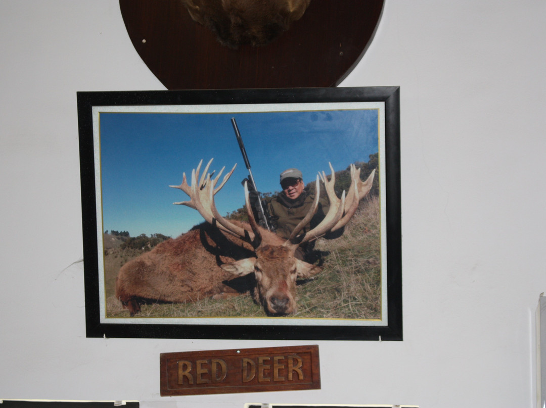 Baluarte Zoo-维甘必去景点