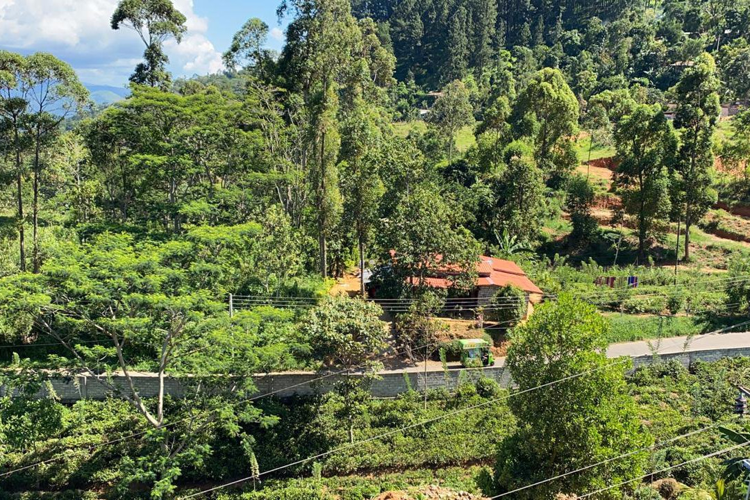 Bellwood Hills Resort & Spa主图