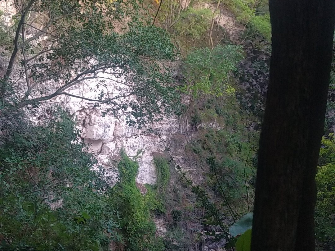 Volcan de los Murcielagos景点图片