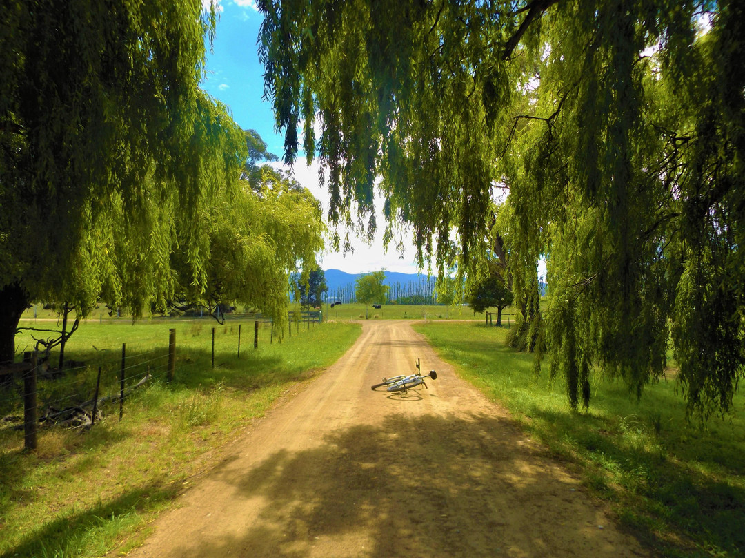 Huon Bikes-Huonville必去景点