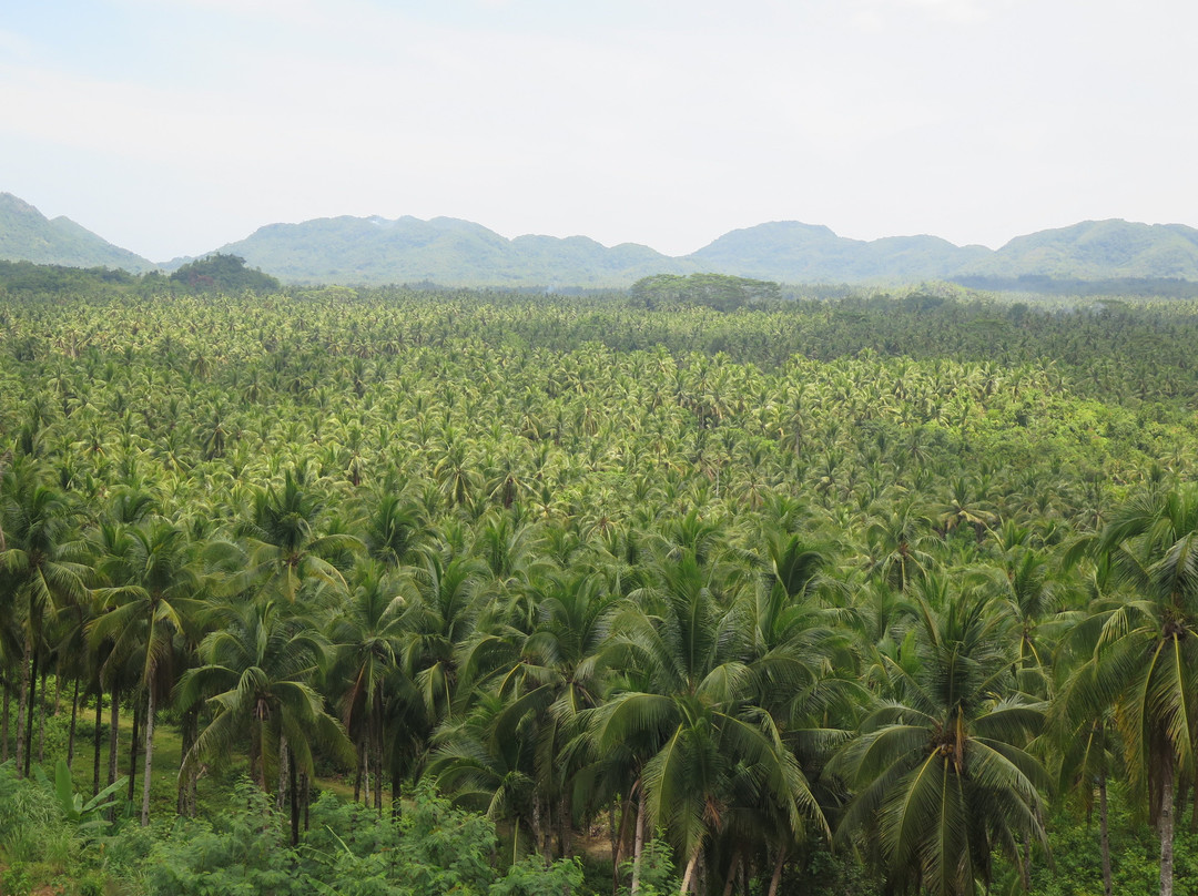 Coconut Trees View Deck-Dapa必去景点
