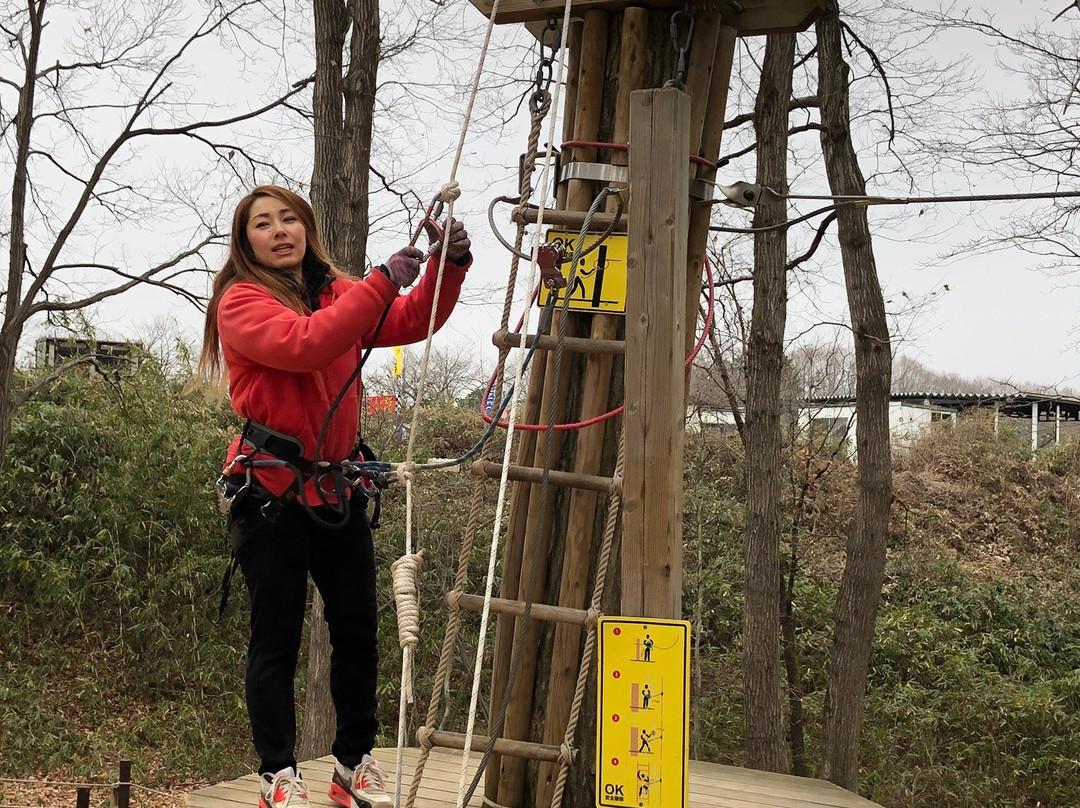 Forest Adventure Chichibu-秩父市必去景点
