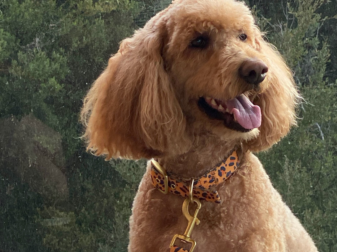 斯安克开普敦美景酒店主图