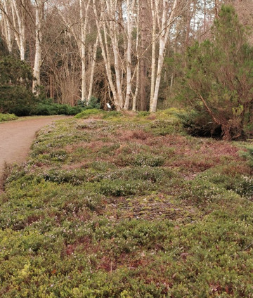 Forstbotanischer Garten-科隆必去景点