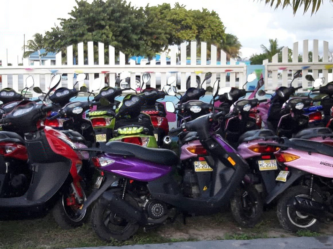 Anegada Amazing Rentals-Anegada必去景点