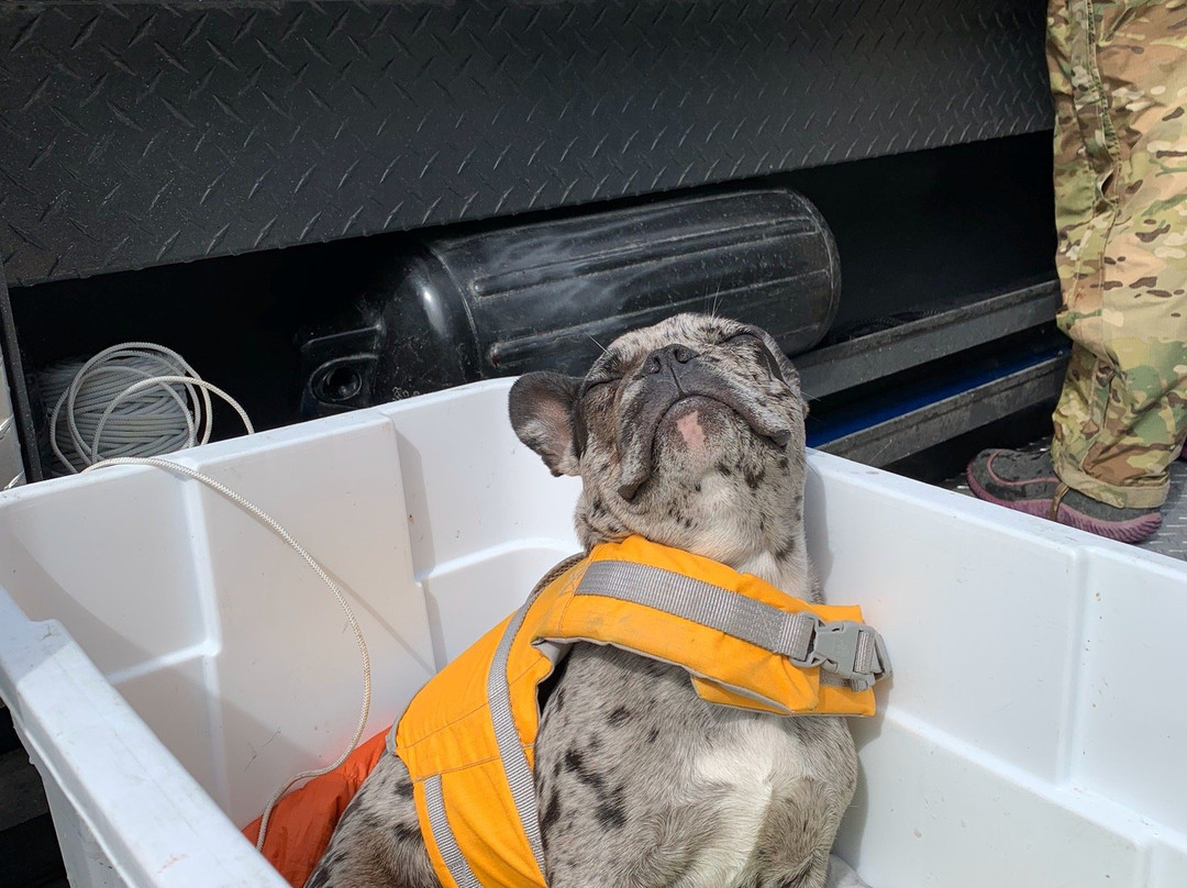 AK eXpeditions-Chitina必去景点