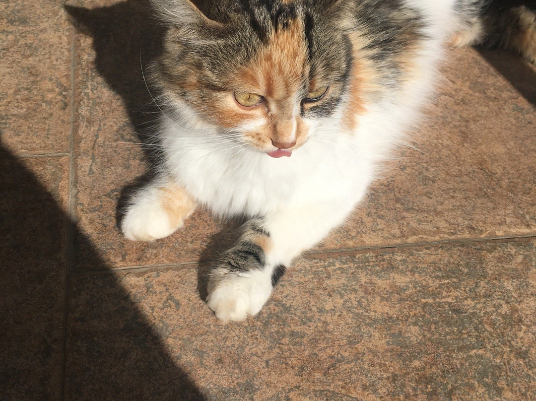 Casa de Campo Santa Rosa主图