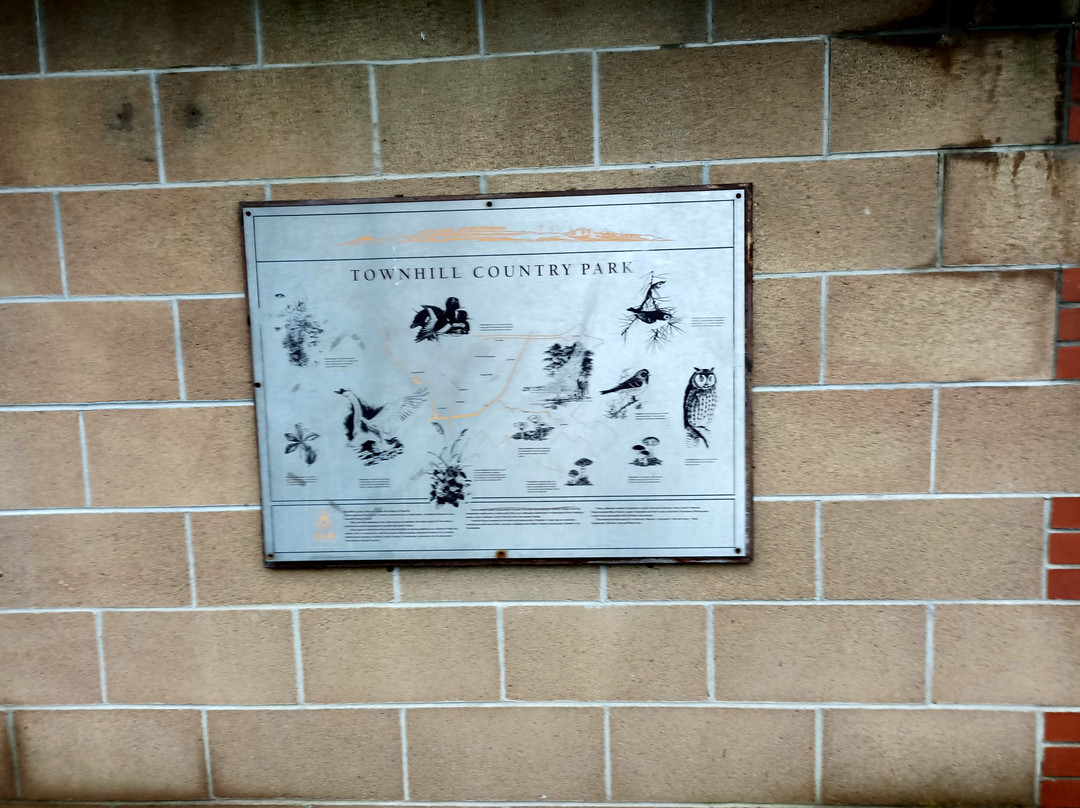 Townhill Country Park-丹弗姆林必去景点