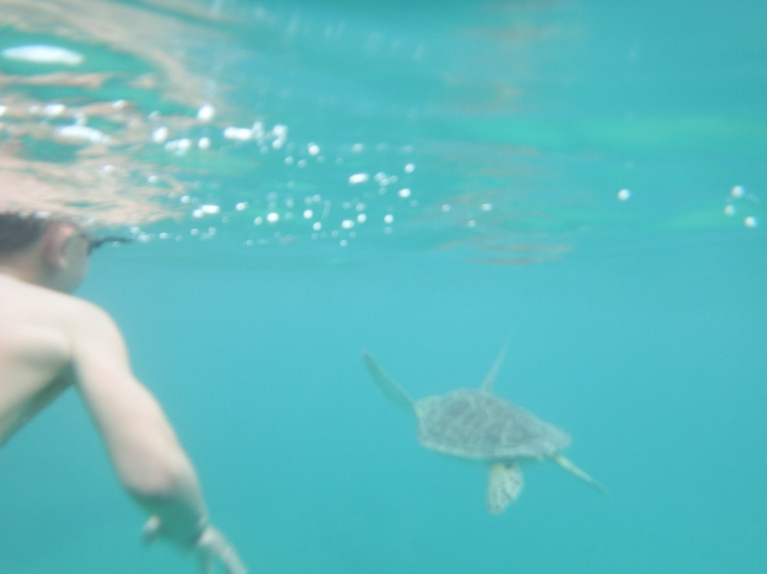 Green Beach-维切克岛必去景点