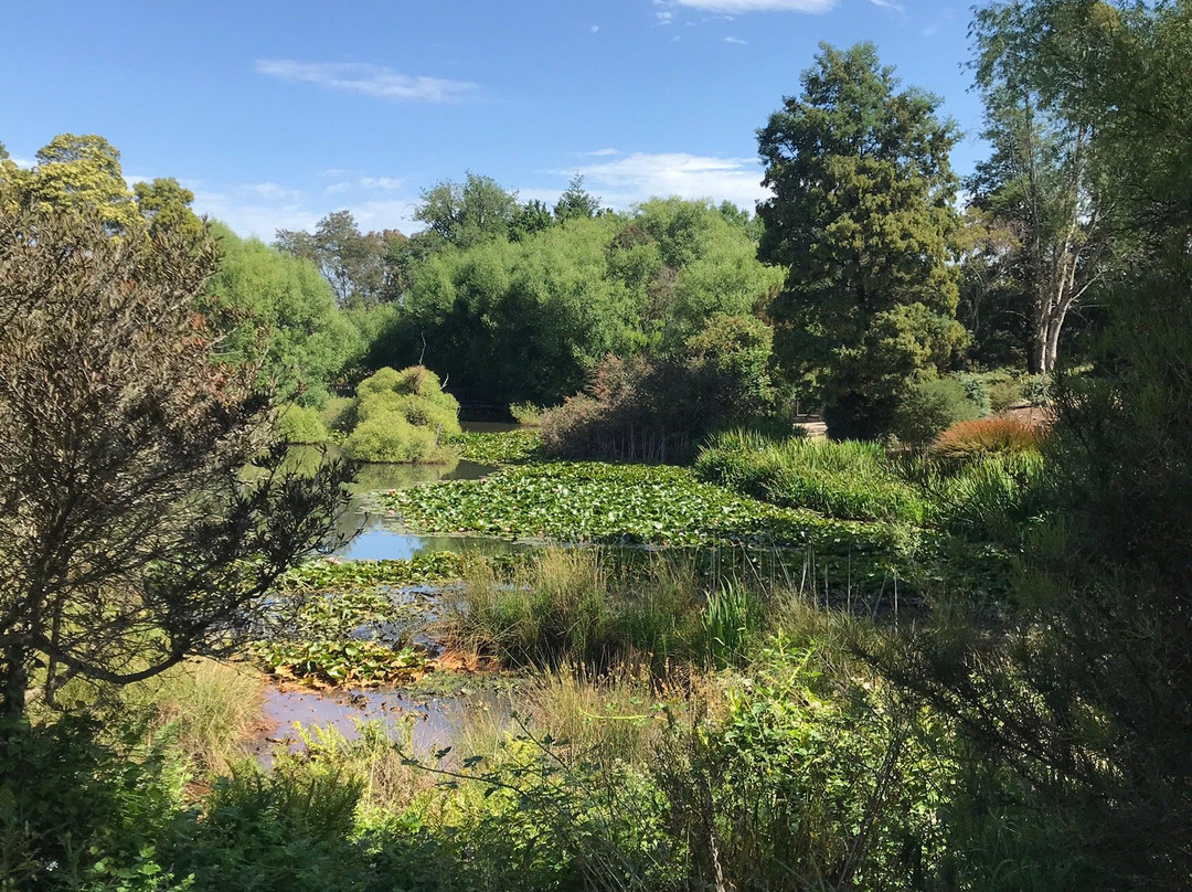 Christmas Hill Raspberry Farm-Elizabeth Town必去景点