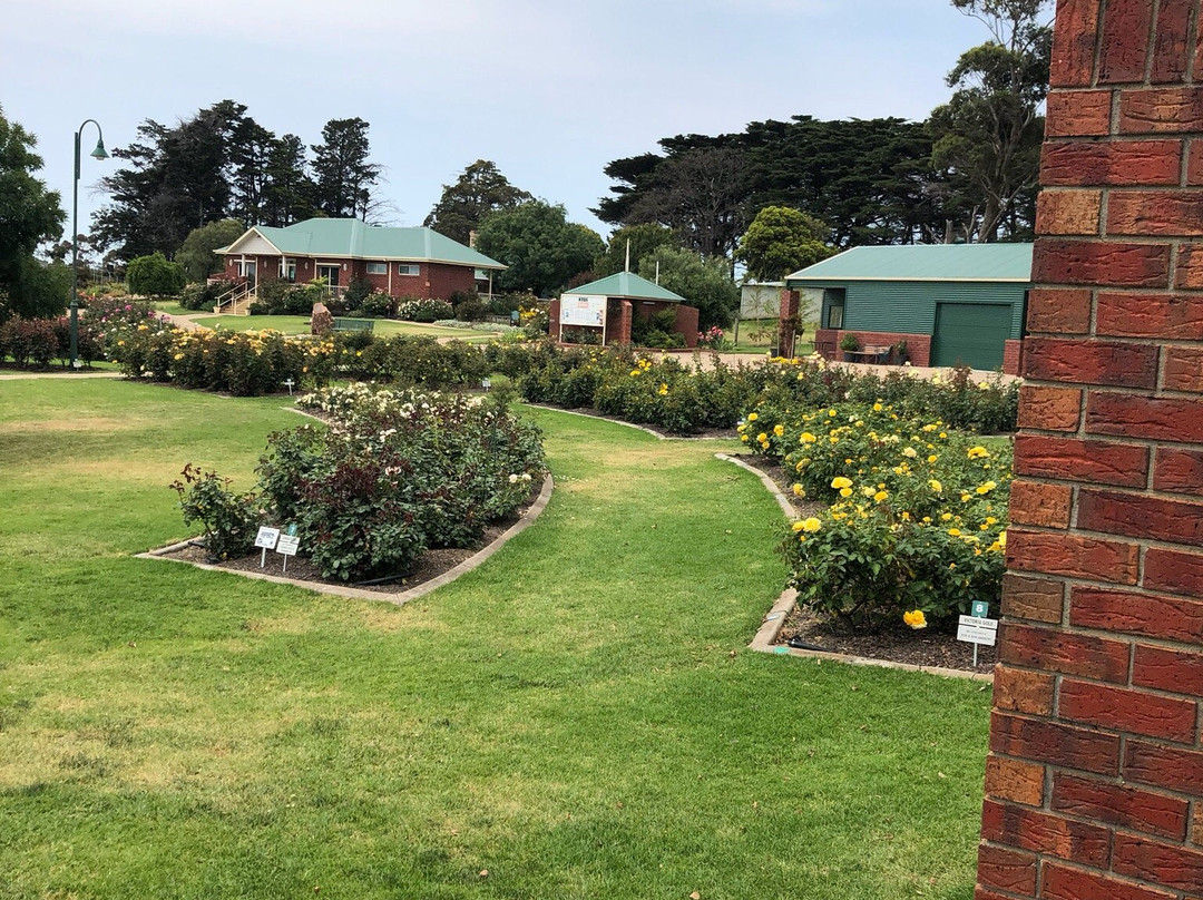 Mornington Botanical Rose Gardens景点图片