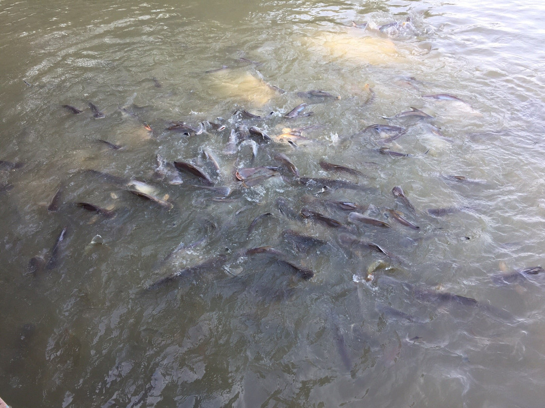 Wat Tonson-红统必去景点