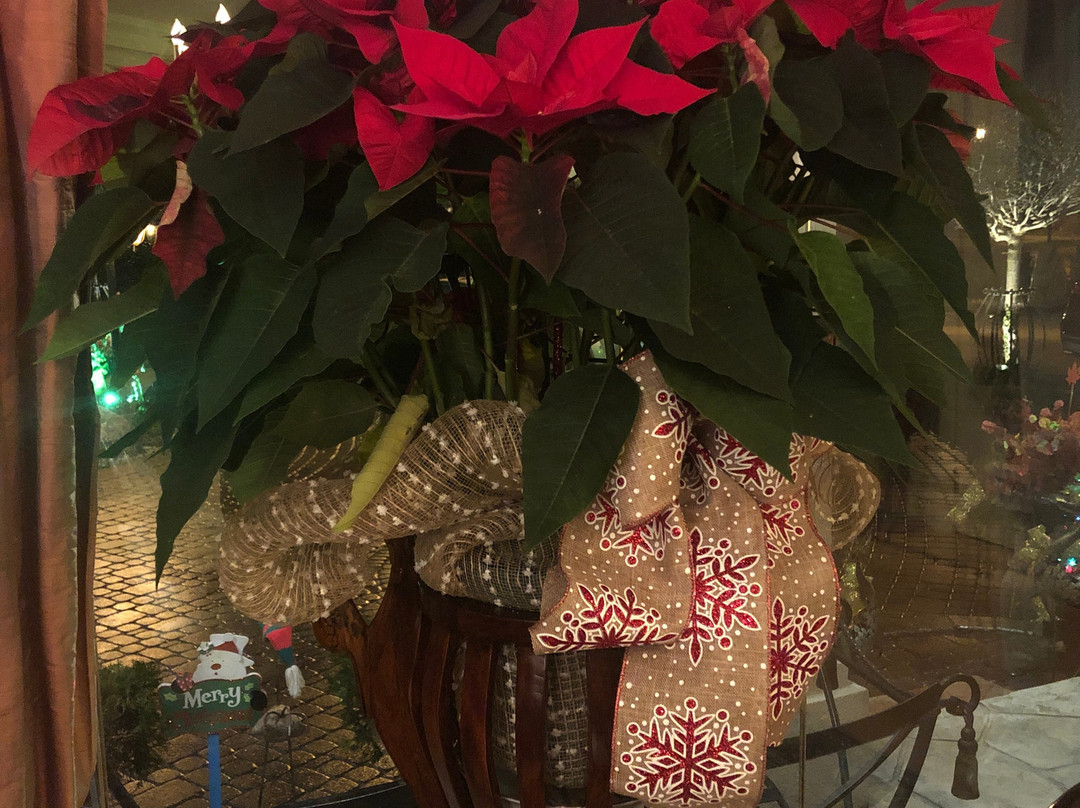 Anna's Garden, Home & Wellness-Kingsville必去景点