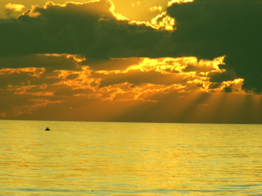 Shoreline Island Resort主图