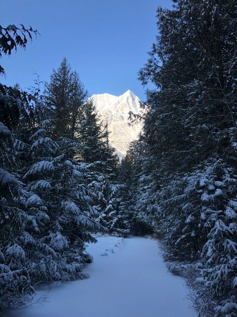 Trail of the Cedars-冰河国家公园必去景点