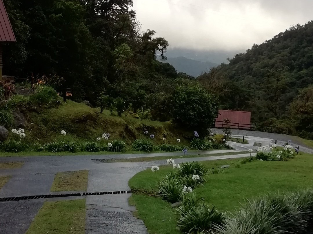 Boquete Tree Trek Mountain Resort主图